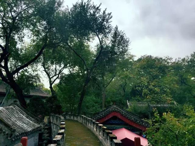 嘿，恭王府里的美景