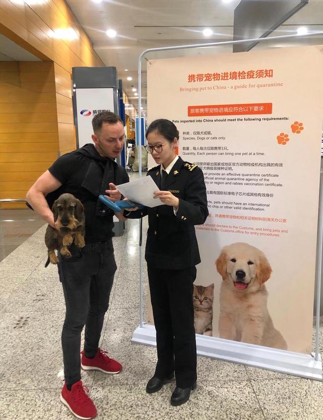 上海海关将实施“宠物新政”，这几种宠物可免入境检疫