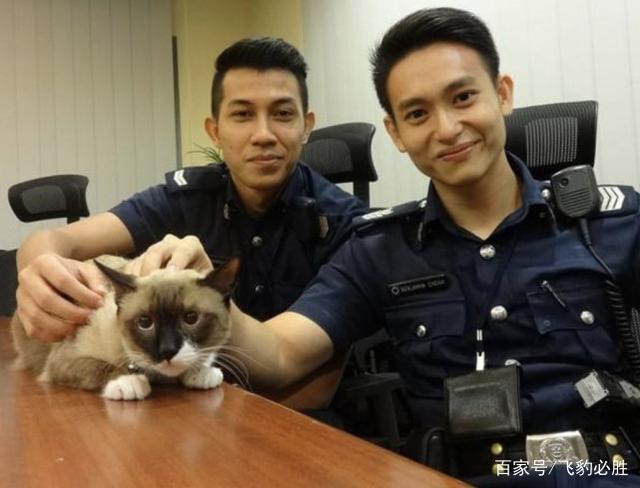 全球最安全的5个国家，中国上榜，日本也能上榜？