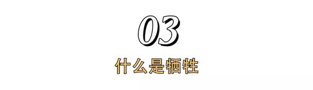 “90后”，你终于活出了让中国骄傲的样子！