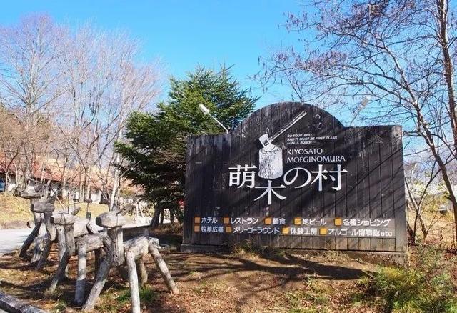 从人迹罕至到一票难求，揭秘日本童话小镇萌木之村的繁荣密码！