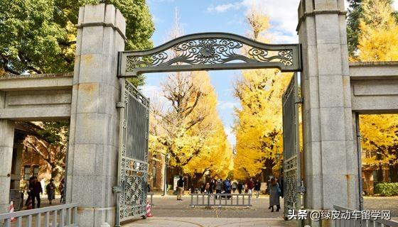 跨越百年，京都大学和东京大学的相爱相杀史