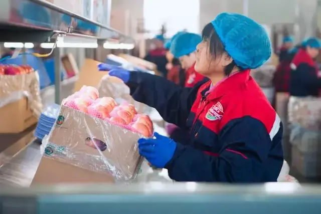 世界前十、中国最大的果品企业复发中记究竟是怎样的存在？