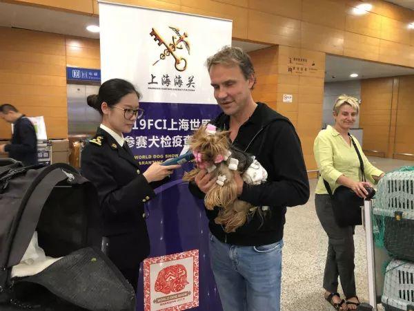 可以直接带“汪星人”入境了！海关宠物新政明起正式施行，你关心的问题这里有答案