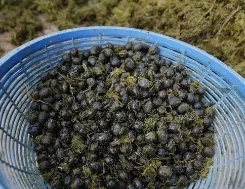 世界咖啡之旅——东南亚咖啡小国