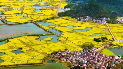 芜湖：“渡江第一船”登陆地 崛起皖江排头兵