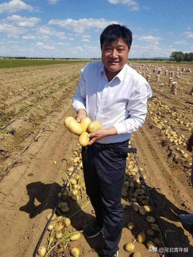 石家庄新乐“土豆哥”郝胜辉：让小土豆变成金蛋蛋