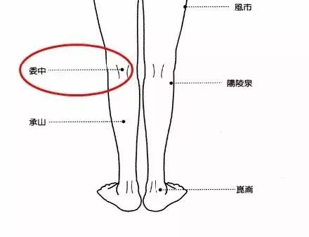 80岁脑不萎缩，不痴呆的秘密！家有50岁老人速看