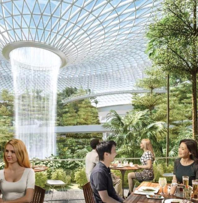 真壕！新加坡机场斥资85亿建造瀑布、森林……网友：简直不敢想象