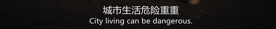 这部高分神剧太清奇，企鹅坐地铁吃午餐，黑熊开冰箱偷食物