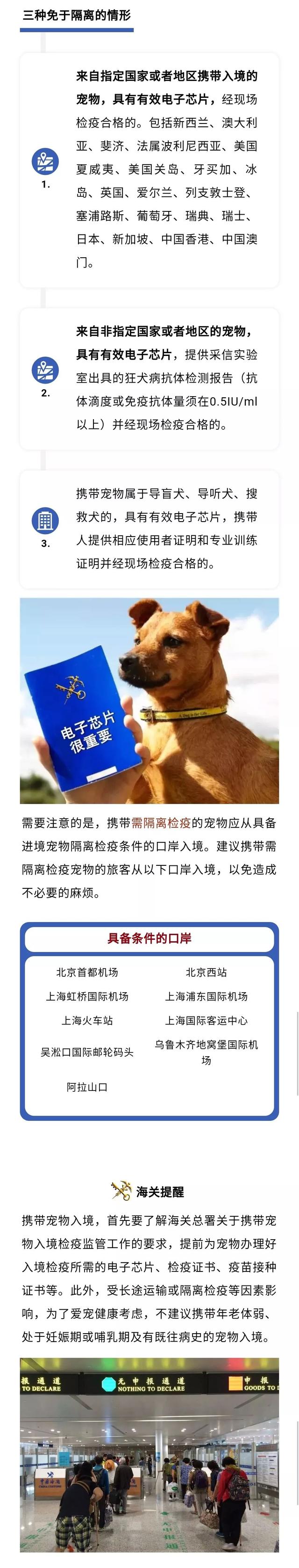 猫狗通关更便利！下月起符合要求的宠物入境海口可免除隔离期