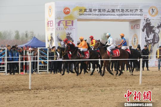 中国选手摘得第五届中国砀山国际马术耐力赛二星级比赛桂冠