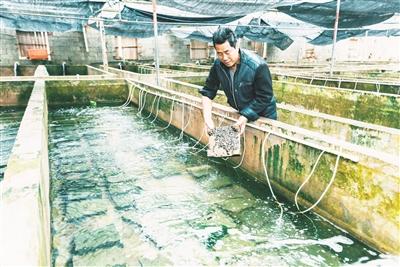 流水打造食品加工园区，建设农渔产品加工、观光与科研为一体