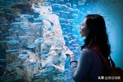 五天时间去日本大阪如何游玩，中间穿插一天环球影城