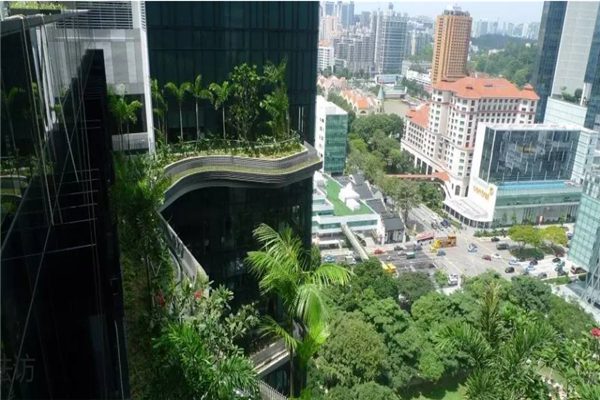 新加坡冠以全球干净城市，实至名归？还是一个“被干净”的城市？