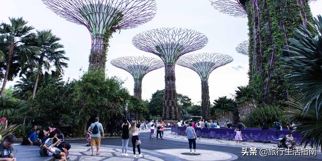 新加坡最壮观的旅游景点，城市中的美丽绿洲滨海湾花园