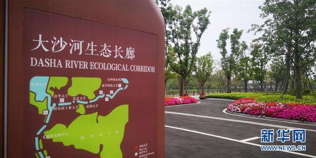 “硅谷之芯”变形记：一条河流的光影