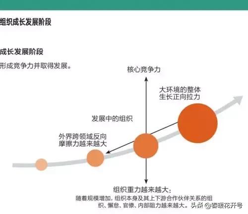 陈春花、赵海然：组织生长力，组织在不确定环境下的核心关键能力