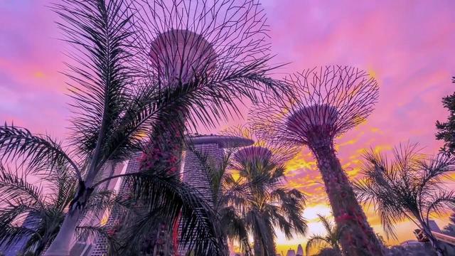 爱上花园城市—新加坡~