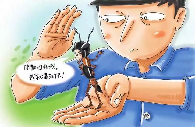 清明拜山，这几“款”小虫子，不得不防！