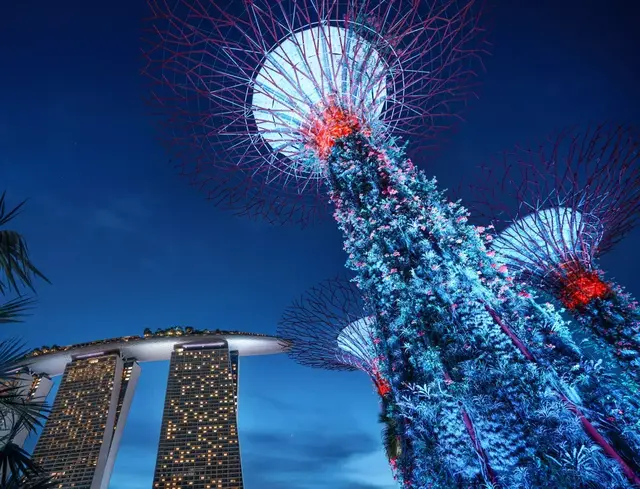 活动|新加坡大企业培训两周，能教会你什么？