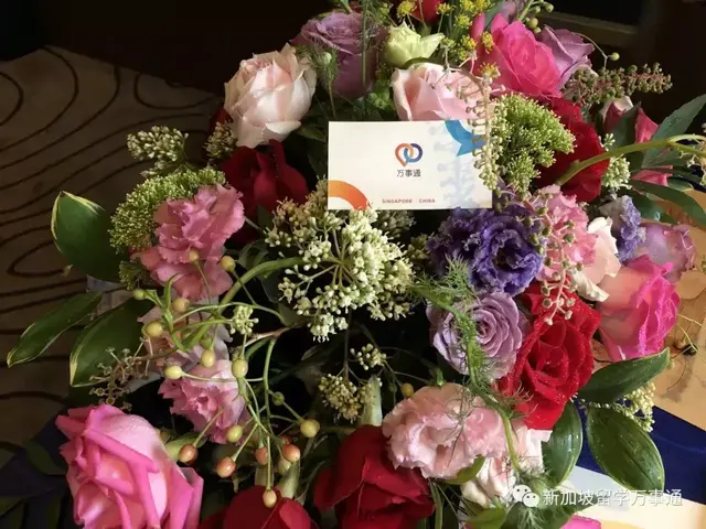 在上海最美的画廊，遇见最美的新加坡