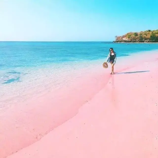 这一片粉色沙滩美炸了，人少还免签，你再不去明年就要闭岛啦
