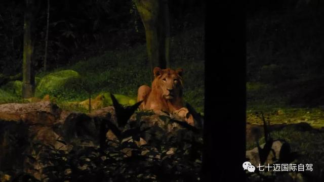 清迈，没有海一样能度假