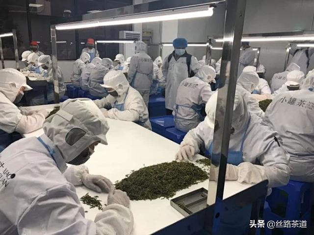 读茶如书！真正爱茶人须知道有关茶的重要思考：中国茶的百年之战