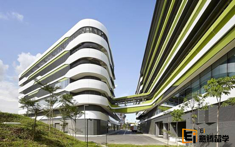 新加坡科技设计大学有哪些好的专业？