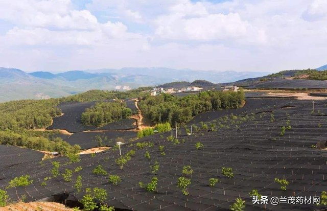 【聚焦】中药材从业者大部分都不知道的品种市场集散加工产地