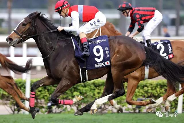 世界级赛驹云集香港竞逐富卫保险冠军赛马日赛事