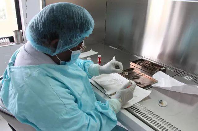 你应该知道的冷知识：斯里兰卡是世界上最爱捐献眼角膜的国家
