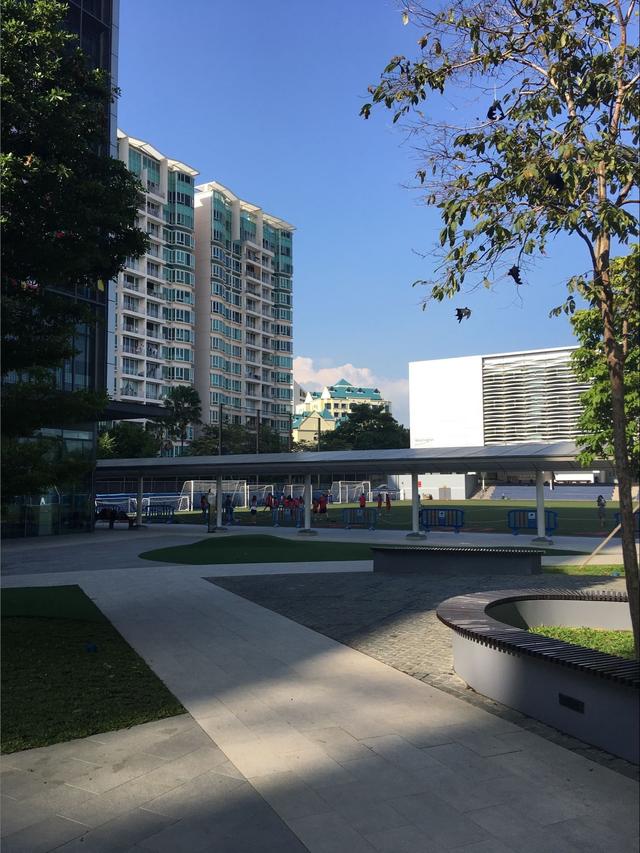 初中生新加坡中学留学申请须知