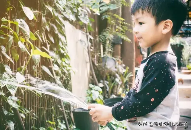 中国妈妈：“在新加坡长大的孩子，太不一样了......”