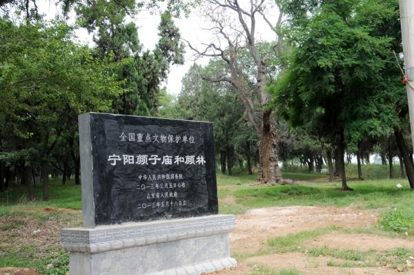 颜氏家族墓地    古树名木汇集