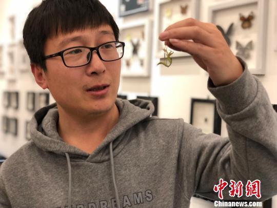 豹纹守宫、幽灵螳螂等数百只奇珍异虫亮相南京