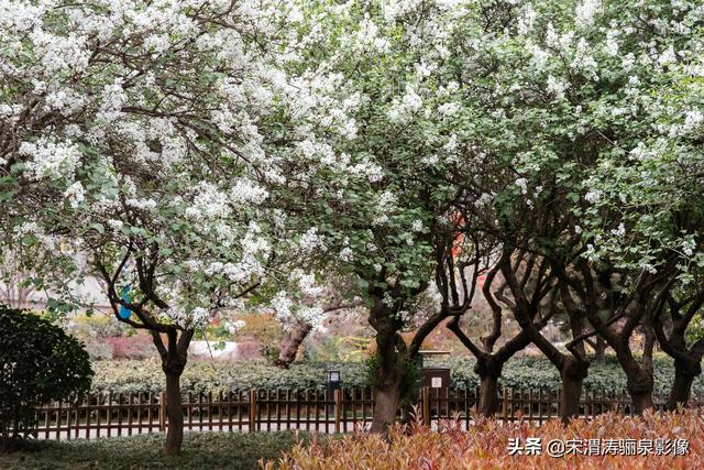 沿着风景道路、沟渠等自然和人工廊道建设，可供游人和骑车者徜徉