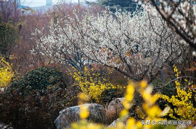 沿着风景道路、沟渠等自然和人工廊道建设，可供游人和骑车者徜徉