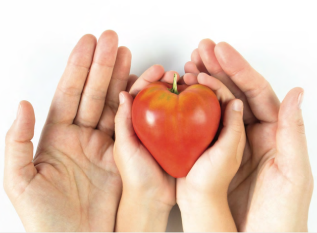 新加坡食品局正式成立 负责监管食品安全和供应保障