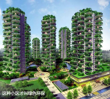 不管种什么，买房只买第4代，简直是梦想中的房子