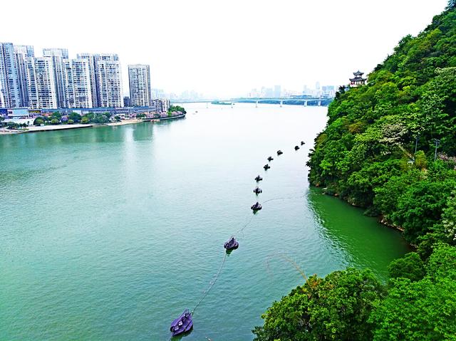 柳江清，紫荆美，夜景惹人醉，航拍柳州看宜居花城的画卷之美！