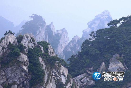 中国庐山首届国际诗词楹联擂台赛进入白热化阶段