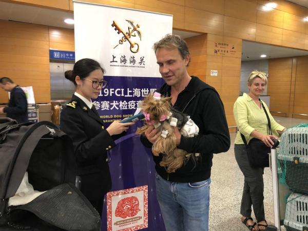 海关宠物新政明起施行，符合条件的汪星人喵星人可直接入境！