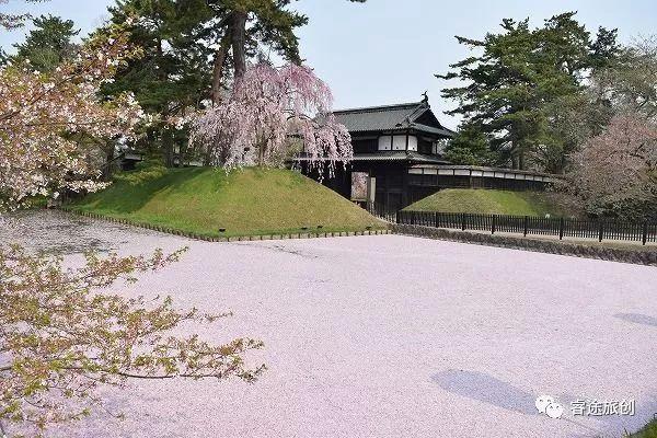 这个“偏据一隅”的景区，是如何成为日本第一的赏樱胜地的？