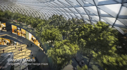 斥资85亿，占地14000m²！这个国家把森林、瀑布搬进机场！