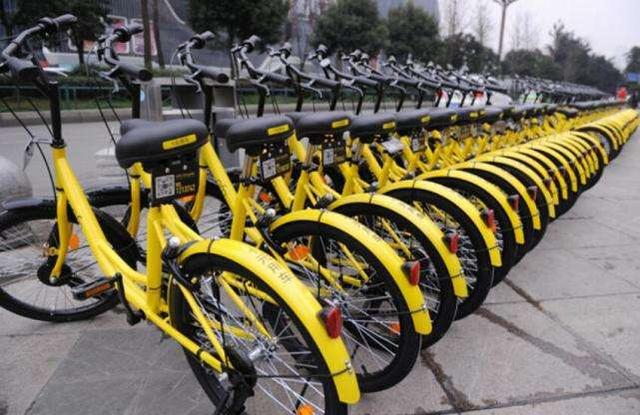 雪上加霜！ofo营业执照被撤销，无奈退出新加坡市场！