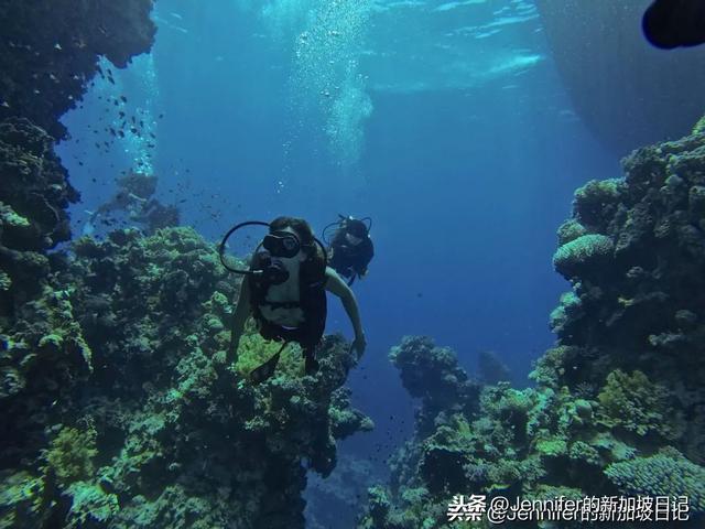 悲剧！36岁新加坡男子潜水身亡，潜水到底有多危险？