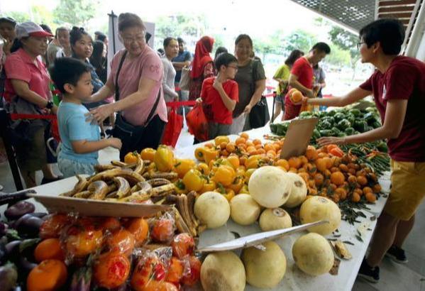 新加坡环境局数据：整体回收率略升至17％ 厨余减因节约意识提高
