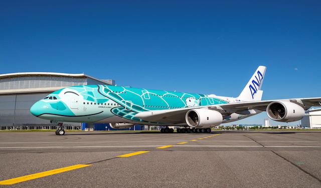 天空飞来巨无霸A380绿海龟，神情悠闲似在海游，呆萌可爱让网友直呼“想撩”